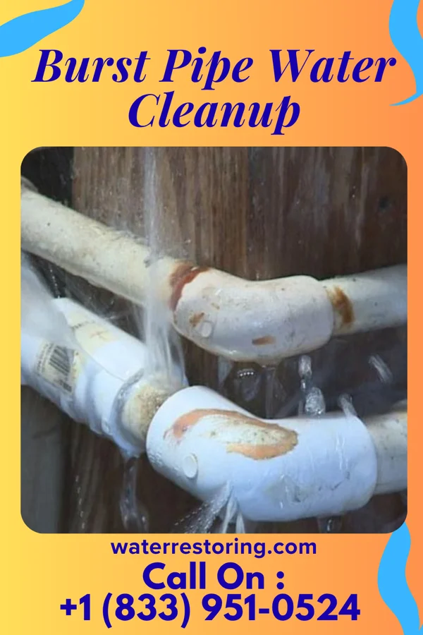Burst Pipe Water Cleanup in Nina, TX