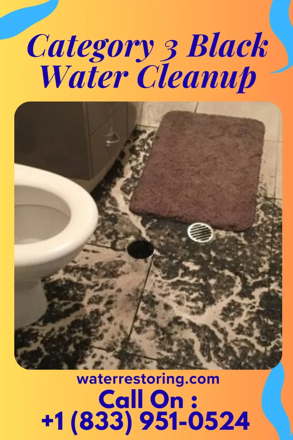 Category 3 Black Water Cleanup in Nina, TX