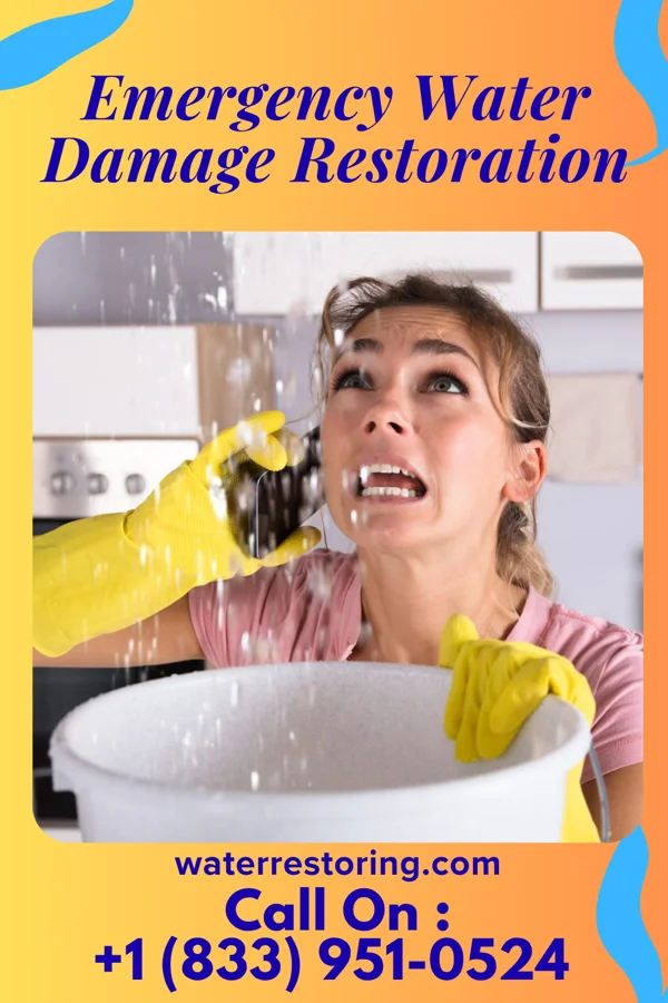 Emergency Water Damage Restoration in Nina, TX