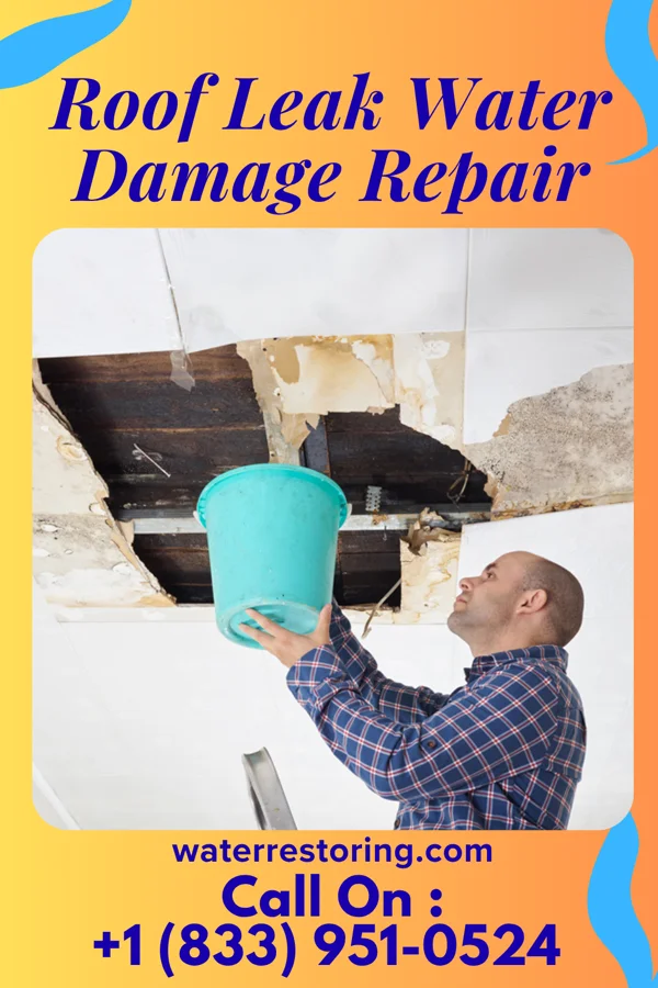 Roof Leak Water Damage Repair in Nina, TX